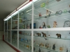 Case Gondopar: Loja de Utilidades
